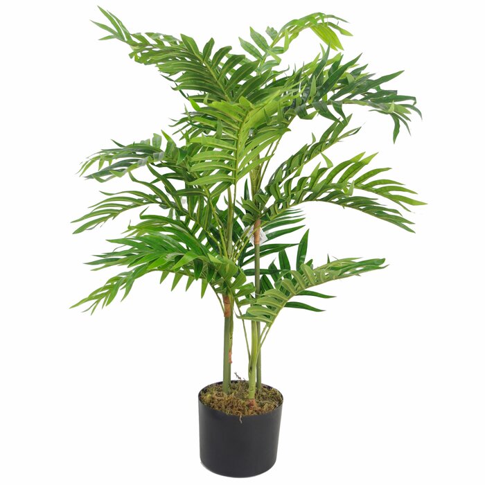 The Seasonal Aisle 80cm Artificial Palm Plant in Planter & Reviews